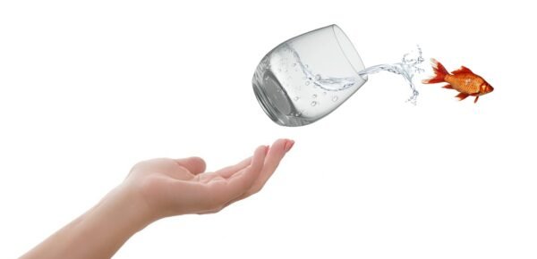 How can a leader come out of his comfort zone by following these 5 simple steps?